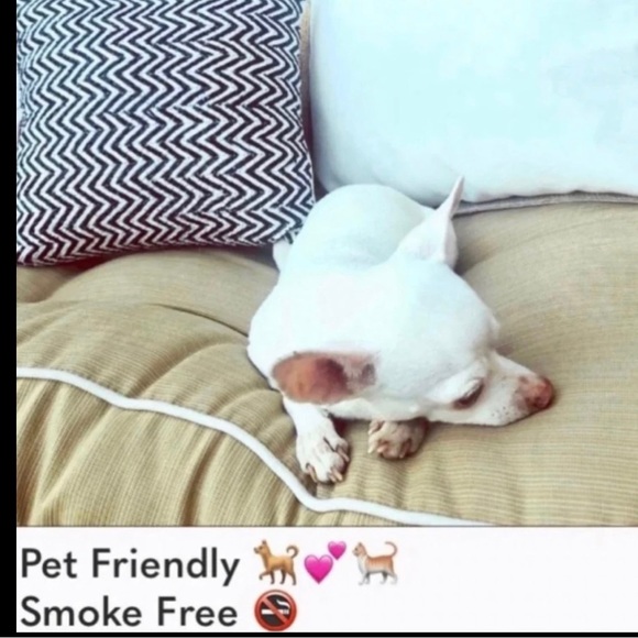 JOHNNY WAS KELLY COLD SHOULDER EMBROIDERED BLOUSE TOP BLUE SIZE MEDIUM - Picture 4 of 5